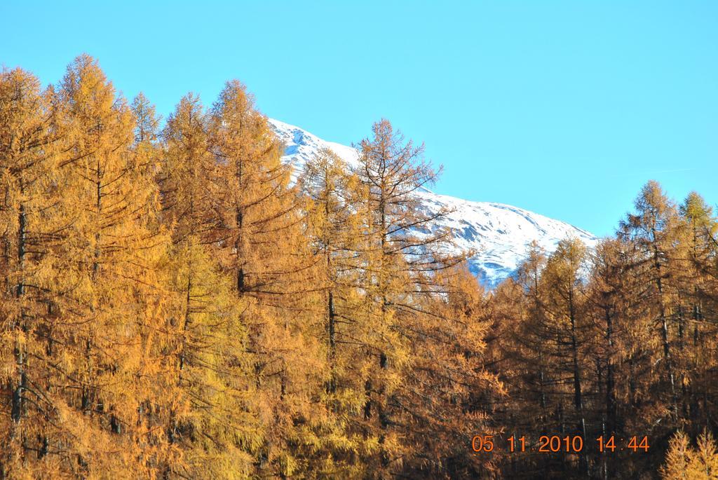 Gasthof Panorama Obsteig Zewnętrze zdjęcie